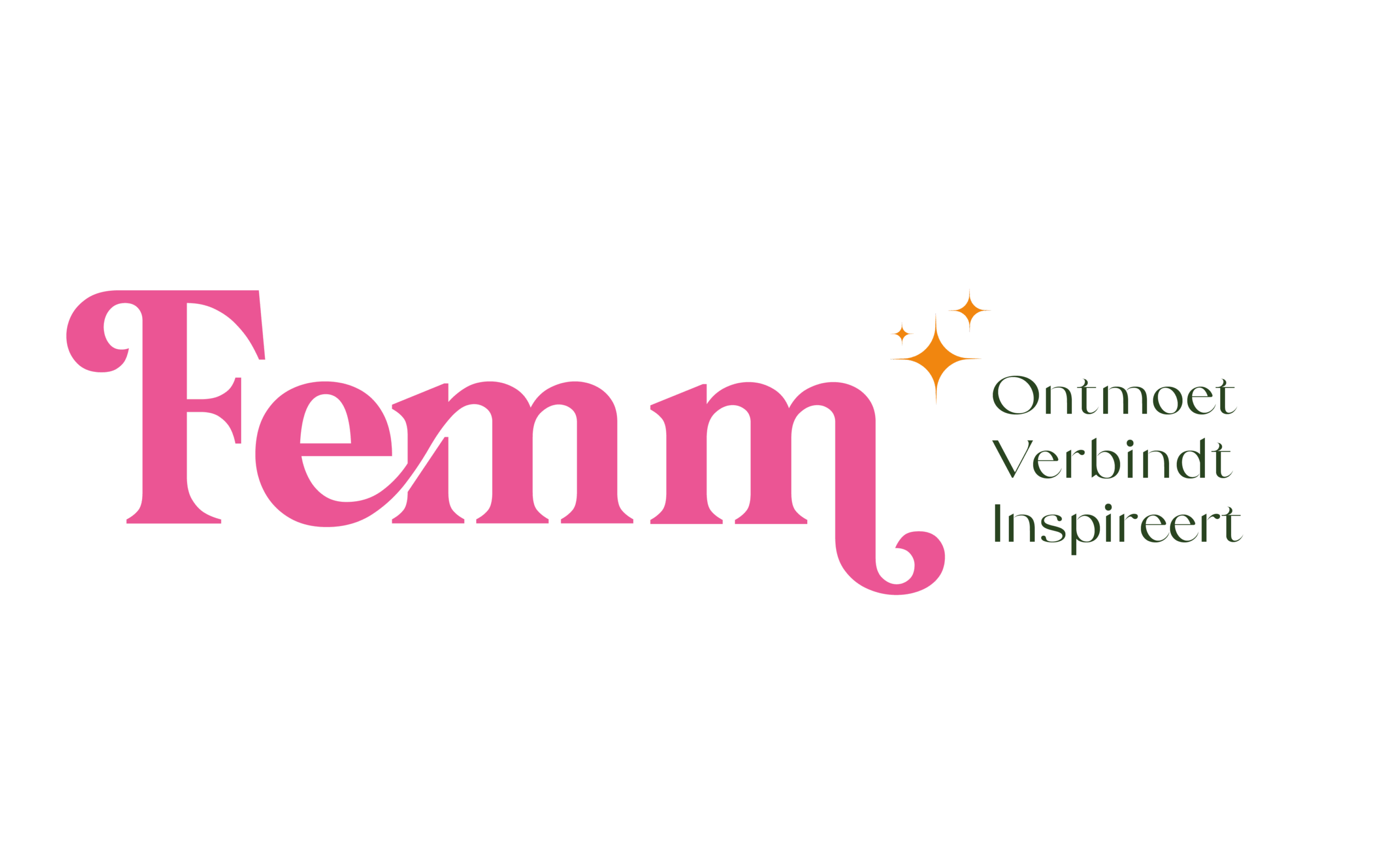 Logopakket_FEMM_Tekengebied 1-05
