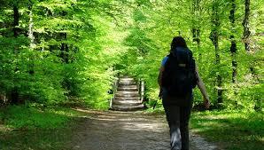 pagina-methodiek-je-pad-bewandelen-1